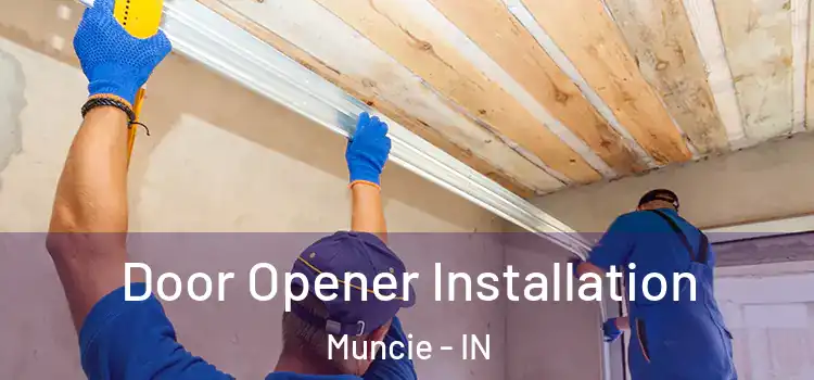 Door Opener Installation Muncie - IN