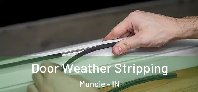  Door Weather Stripping Muncie - IN