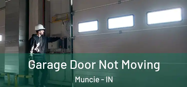  Garage Door Not Moving Muncie - IN