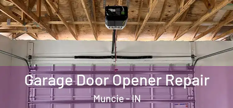 Garage Door Opener Repair Muncie - IN