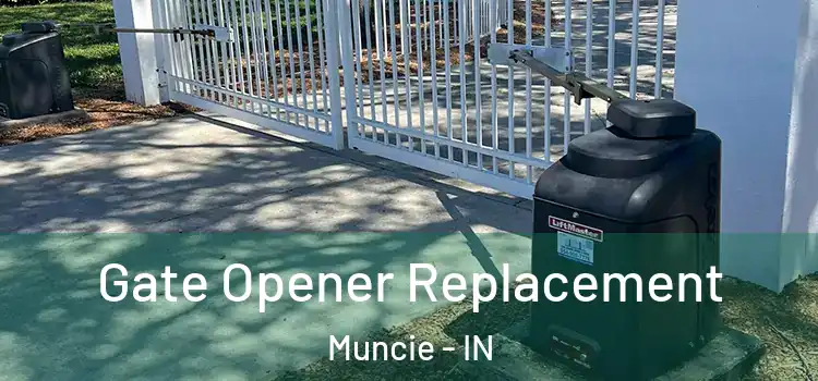 Gate Opener Replacement Muncie - IN