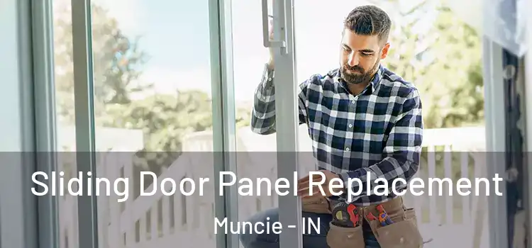  Sliding Door Panel Replacement Muncie - IN