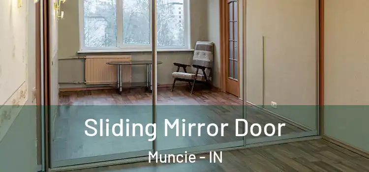  Sliding Mirror Door Muncie - IN